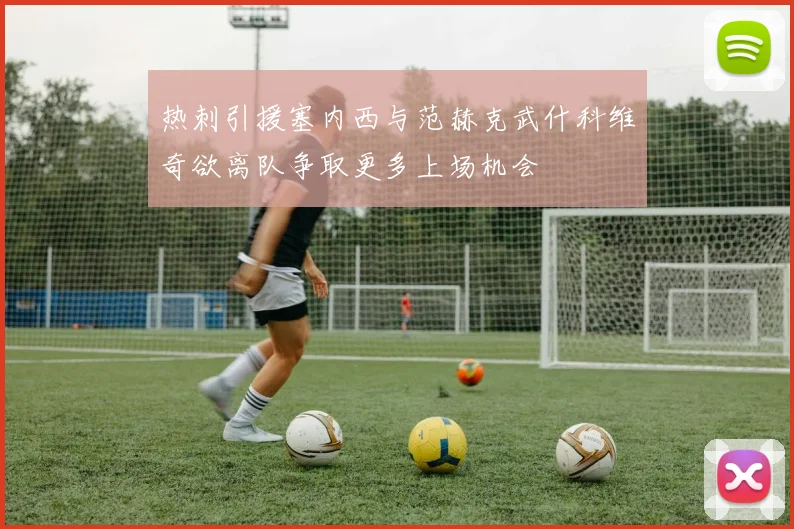 热刺引援塞内西与范赫克武什科维奇欲离队争取更多上场机会