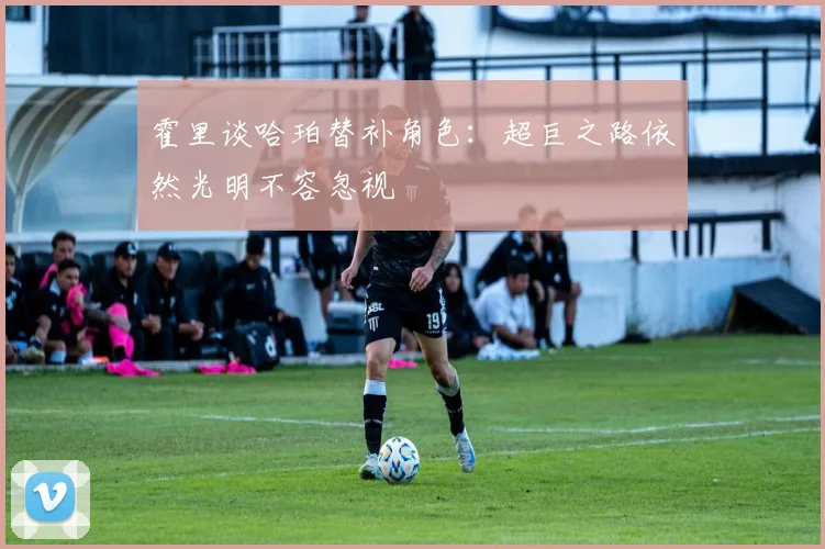 霍里谈哈珀替补角色：超巨之路依然光明不容忽视