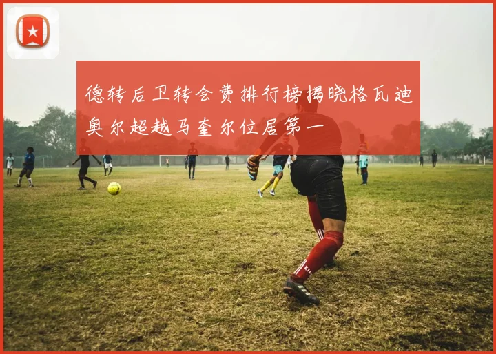 德转后卫转会费排行榜揭晓格瓦迪奥尔超越马奎尔位居第一